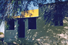 schoedder_nust_warmbad_000370_thumb.png