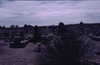 schoedder_nust_warmbad_000273_thumb.png