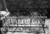 schoedder_neg_nust_karibib_00555_thumb.png