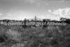schoedder_neg_nust_karibib_00556_thumb.png