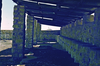 schoedder_nust_warmbad_000303_thumb.png