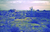 schoedder_nust_warmbad_000343_thumb.png