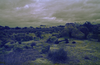 schoedder_nust_warmbad_000344_thumb.png