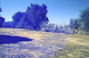 schoedder_nust_warmbad_000347_thumb.png