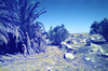 schoedder_nust_warmbad_000348_thumb.png