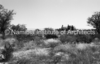 schoedder_neg_nust_omaruru_00038_thumb.png