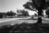schoedder_neg_nust_omaruru_00247_thumb.png