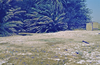 schoedder_nust_warmbad_000355_thumb.png