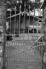 schoedder_neg_nust_karibib_00411_thumb.png