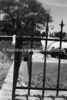 schoedder_neg_nust_omaruru_00163_thumb.png