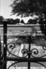 schoedder_neg_nust_omaruru_00168_thumb.png