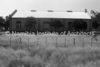 schoedder_neg_nust_karibib_00528_thumb.png