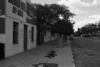 schoedder_neg_nust_usakos_00602_thumb.png