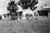 schoedder_neg_nust_omaruru_00077_thumb.png