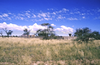 schoedder_nust_karibib_000162_thumb.png
