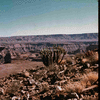ONR_SLI_VARIOUS_img.037209_thumb.gif
